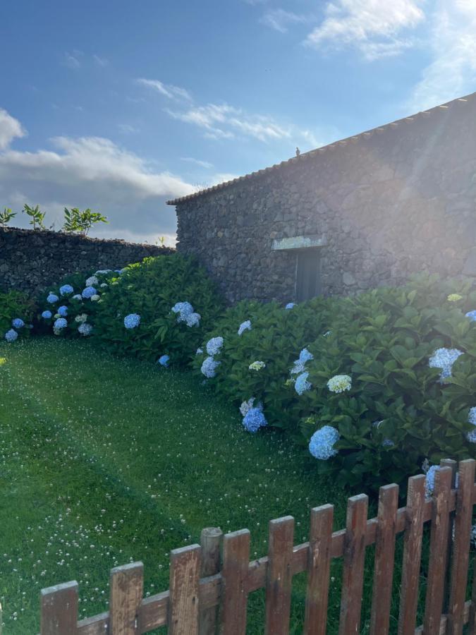 Arrenquinha Guesthouse 2 Ponta Delgada - Açores Exterior foto